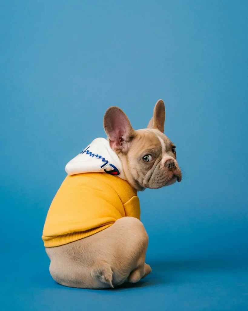 produtos de petshop e ração